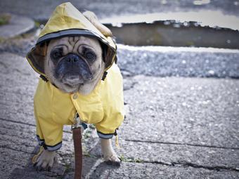 Арктический циклон принесет похолодание