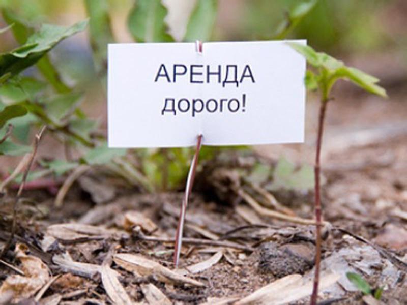 садилось аренда земли под производство от администрации видел очень