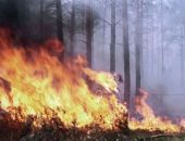 МЧС Феодосии просит быть осторожней с огнем за городом