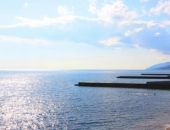 На пляже в Крыму собака вырыла обмотанный проволокой труп