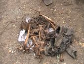 В Крыму нашли старый скелет 