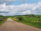 В Украине хотят запретить придорожную рекламу