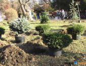 В Детском парке Симферополя хотят сделать целебный воздух