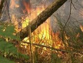 Водитель сжег сбитого пешехода, заметая следы