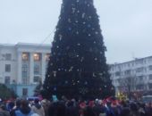 Главная елка Симферополя обошлась не в 200, а в 300 тысяч гривен