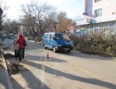 В Феодосии кроны деревьев обрезают регулярно