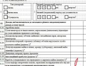 В новой налоговой декларации появилась строка для "взяток"