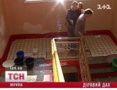 В киевской больнице для гостей Евро-2012 провалилась крыша