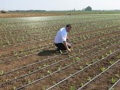Эксперт рассказал, как в Крыму сохранить урожай в засуху