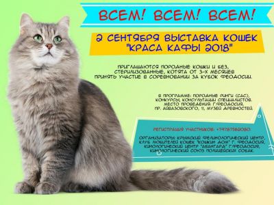 В Феодосии состоится выставка кошек 