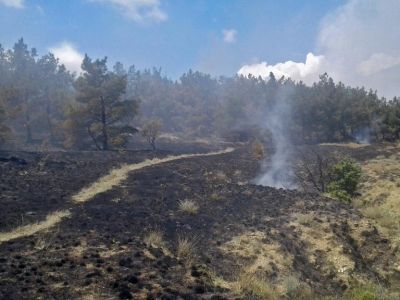 В Лисьей бухте вчера случился лесной пожар на южном склоне горы Эчки-Даг, сегодня – повторное возгорание (фото)