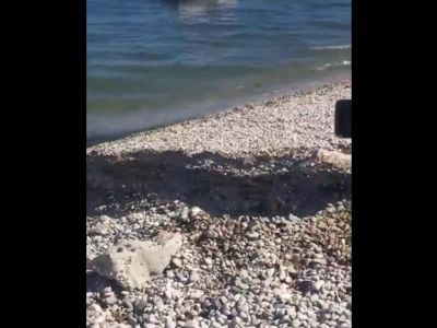 На пляже Коктебеля ключом бьет канализация (видео)