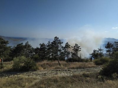 Близ Орджоникидзе горит лес (фото)