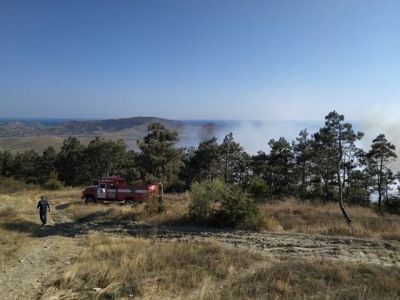Близ Орджоникидзе горит лес (фото)