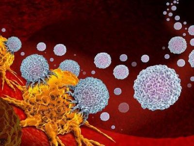 Прорыв в лечении рака: учёные выяснили, как работает иммунотерапия