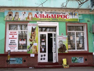 Забота о бездомных животных в магазине «Альбатрос»
