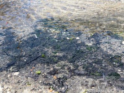 В море у центральной набережной Феодосии вновь сливают отходы