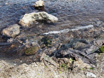 В море у центральной набережной Феодосии вновь сливают отходы