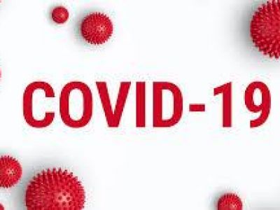 COVID-19    11   