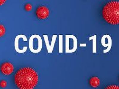     COVID-19    38 