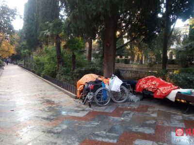 В пригороде столицы Крыма построят приют для бездомных