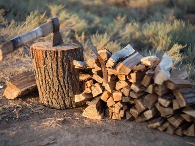 Жителям Крыма разрешено заготавливать древесину для собственных нужд
