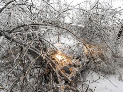 Во Владивостоке ледяной дождь, выпало около 1,5 месячных норм осадков за сутки