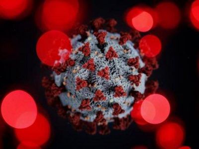 ВОЗ: Смертность от коронавируса в мире за неделю снизилась на 20%