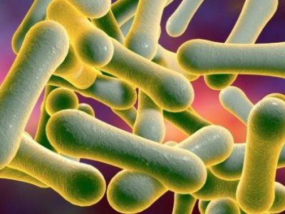 Ученые: Дифтерия возвращается и становится устойчивой к антибиотикам