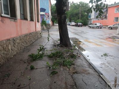 Феодосия: после дождичка в четверг