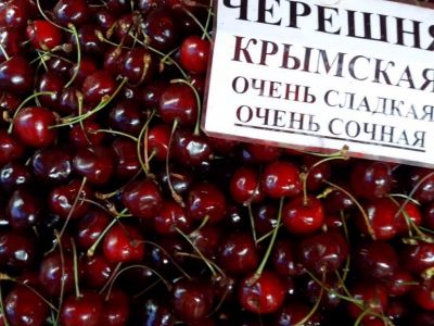В Крыму собрали более 200 тонн черешни
