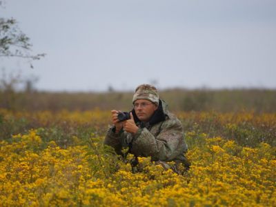 Крымские наблюдатели птиц опять первые!