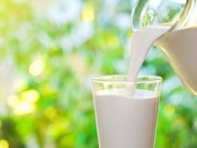 Как жирное молоко влияет на здоровье?