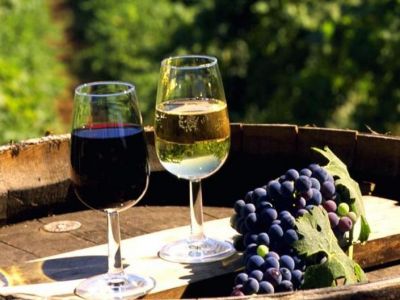 В Крыму виноград созрел позже обычного, но урожай хороший