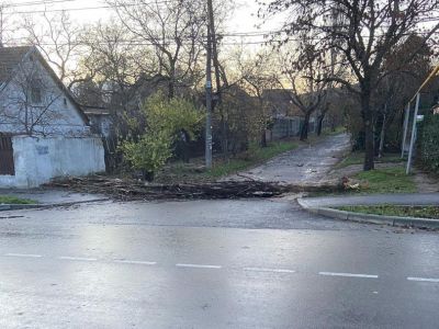 Непогода в Феодосии: обесточенные дома и котельные, поваленные деревья и поврежденные коммуникации