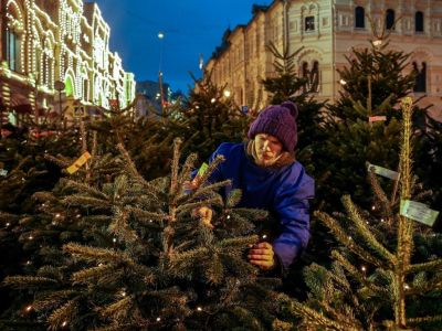 В России растут цены на новогодние елки