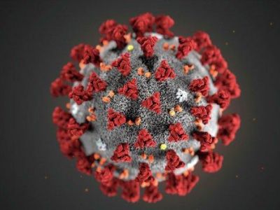 Ученые обнаружили способ уничтожить коронавирус за 2 секунды