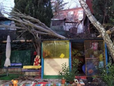 Ураган в Ялте сорвал крыши 40 зданий и повалил около 200 деревьев 