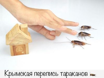 В Крыму проводится республиканская перепись тараканов 