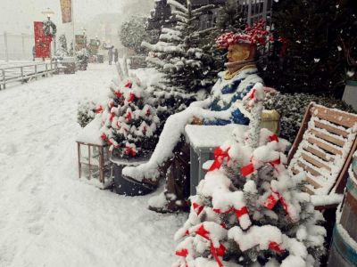 Ялту заносит снегом: В городе объявлен выходной, грузовое сообщение с Алуштой остановлено 