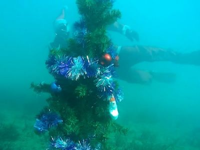 В Крыму дайверы установили ёлку под водой