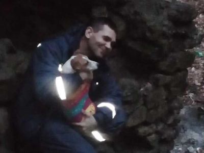 В Крыму собака упала в заброшенный водозабор, её спасли (фото)