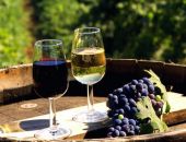В РФ мораторий на классификацию вин продлен до 1 марта