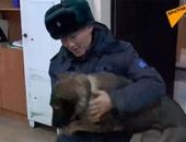 Мародеры похитили собаку у казахского силовика и заставили ее охранять дом