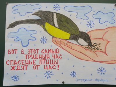 Юные феодосийцы отметили День зимующих птиц (видео)
