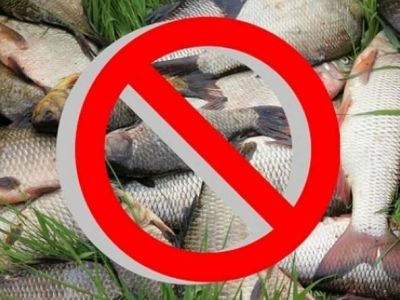 В  Крыму запрет на рыбалку в Черном море отменят к весне