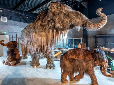 В июле в Якутске пройдет международный мамонтовый форум 
