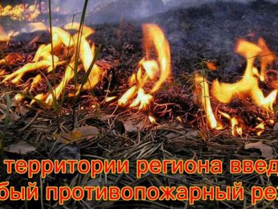 С сегодняшнего дня в Крыму введен особый противопожарный режим