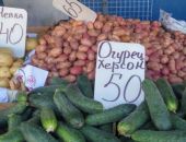 В Феодосию привезут дешевые овощи из Херсона