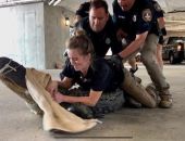 Американская полиция задержала аллигатора, зашедшего в подземную парковку